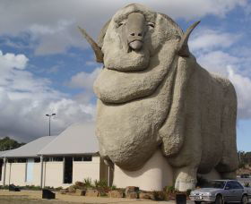 Big Merino - Accommodation Melbourne 0