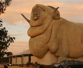 Big Merino - Accommodation Melbourne 3