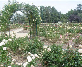 Victoria Park Rose Garden - Accommodation Melbourne 0