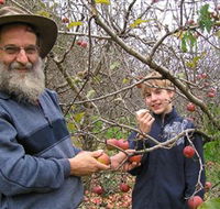 Pine Crest Orchard - Accommodation Melbourne