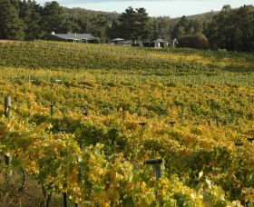 Lark Hill Biodynamic Winery - Accommodation Melbourne 2