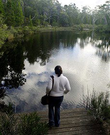 Boonoo Boonoo Falls National Park - Accommodation Melbourne 1