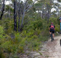 McMahon's Point ride - Wentworth Falls - Accommodation Melbourne