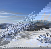 Rock Creek snowshoe track - Accommodation Melbourne