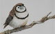 Bungendore Fine Art - thumb 1