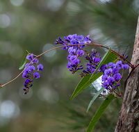 Mann River Nature Reserve - Accommodation Melbourne