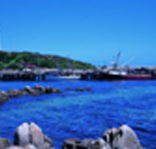 King Island Dairies - Accommodation Melbourne