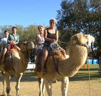 Calamunnda Camel Farm  - Accommodation Melbourne