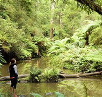 Morwell National Park - Accommodation Melbourne