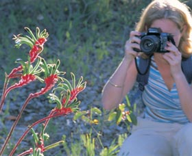 Kalamunda National Park - Accommodation Melbourne 1