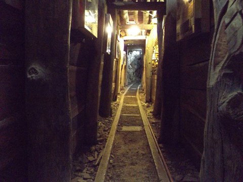 History Hill - Accommodation Melbourne 5