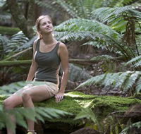 Barrington Tops National Park - Honeysuckle Forest Track - Accommodation Melbourne