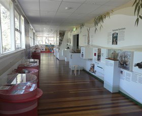 Kanyana Wildlife Rehabilitation Centre - Accommodation Melbourne 1