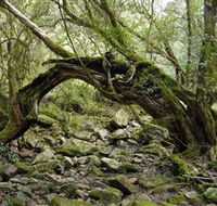 Mitchell River Walking Track - Accommodation Melbourne