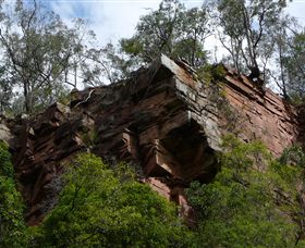 Mitchell River Walking Track - Accommodation Melbourne 2