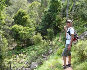 Mitchell River Walking Track - Accommodation Melbourne 1