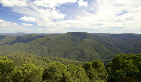 Barrington Tops National Park - Accommodation Melbourne 0