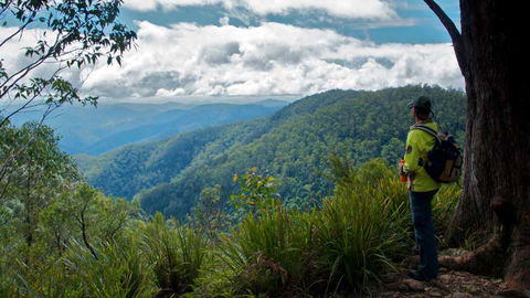 Barrington Tops National Park - Accommodation Melbourne 3