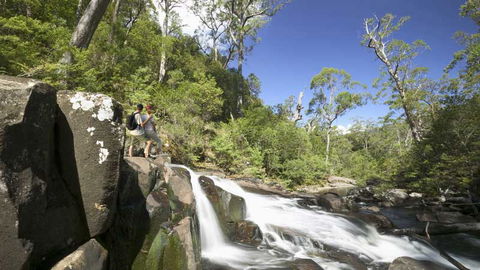 Barrington Tops National Park - Accommodation Melbourne 2