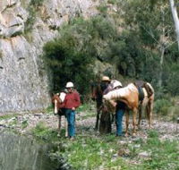 Yarramba Horse Riding - Accommodation Melbourne