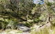 Wollomombi Walking Track - thumb 0