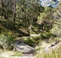 Wollomombi walking track - Accommodation Melbourne