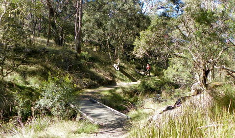 Wollomombi Walking Track - Accommodation Melbourne 0