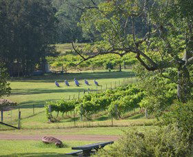 Wollombi Wines - Accommodation Melbourne 8