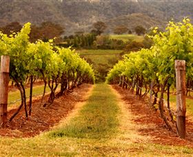 Hunter Valley Wine School - Accommodation Melbourne 1