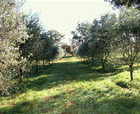 Langdale Farm - Accommodation Melbourne