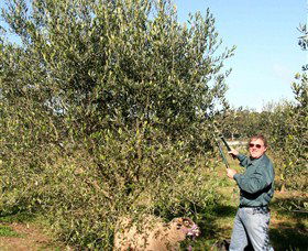 Langdale Farm - Accommodation Melbourne 3