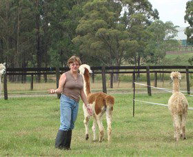Langdale Farm - Accommodation Melbourne 4