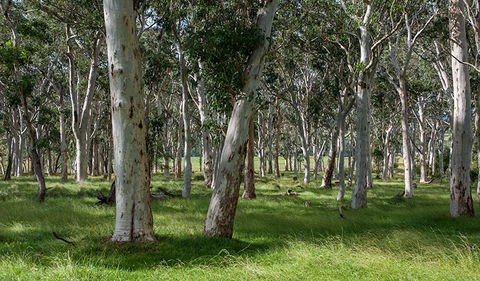 Coast To The Highlands Scenic Drive â€“ Kangaroo Valley - Accommodation Melbourne 1
