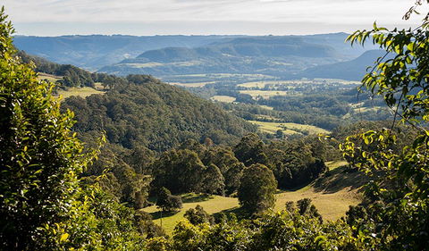 Coast To The Highlands Scenic Drive â€“ Kangaroo Valley - Accommodation Melbourne 3