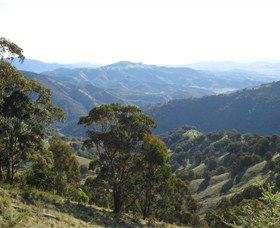 Barrington Tops State Forest - Accommodation Melbourne 2