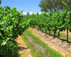 Misty Glen Wines And Cottage - Accommodation Melbourne 1