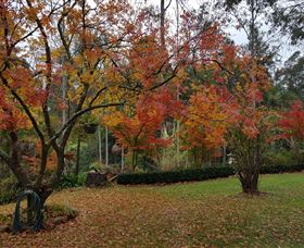 Bellbird Cottage - Accommodation Melbourne 0