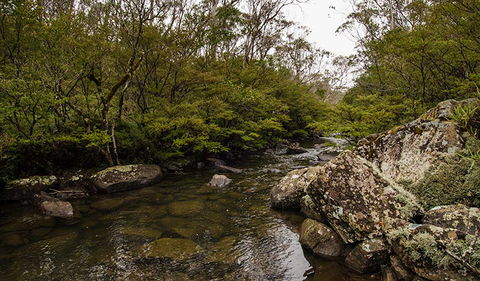 River Walking Track - Accommodation Melbourne 0