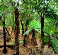 Pegarah Private Nature Reserve  Parenna Place - Accommodation Melbourne