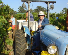 Pokolbin Brothers Wines Hunter Valley - Accommodation Melbourne 1