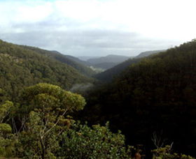 Nattai Gorge Lookout - Accommodation Melbourne 0