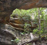Cave Creek Walking Track - Accommodation Melbourne