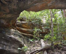 Cave Creek Walking Track - Accommodation Melbourne 0
