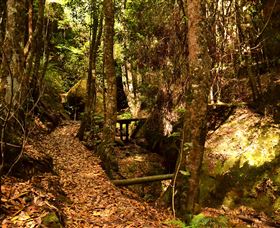 Cave Creek Walking Track - Accommodation Melbourne 2