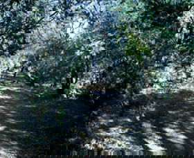 Cave Creek Walking Track - Accommodation Melbourne 3