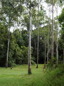 Pioneer Country Park - Accommodation Melbourne 1