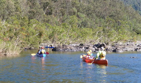 Nymboida National Park - Accommodation Melbourne 1
