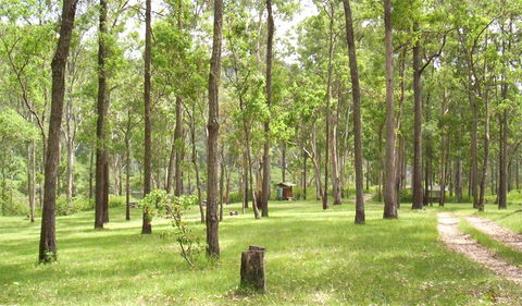 Nymboida National Park - Accommodation Melbourne 2