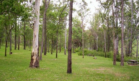 Nymboida National Park - Accommodation Melbourne 3