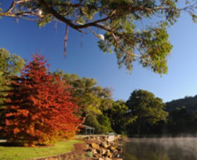 Lake Alexandra Reserve - Accommodation Melbourne 1